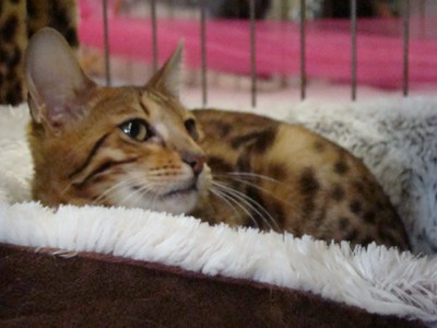20121021_89 (Expo)